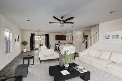 0004DesertFauna_living_room4_final
