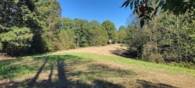 0 Low Gap Rd unit 25151943, Shoals, IN 47581 - photo 6