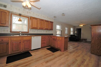 288 Pine Oak Dr, Lebanon Junction, KY 40150 - photo 6