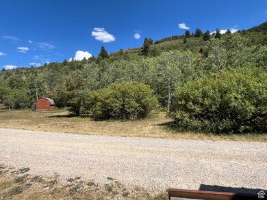 View of street with a forest view