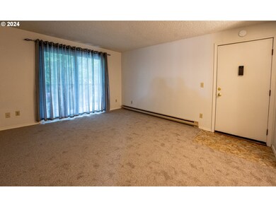 Living Room/Entrance