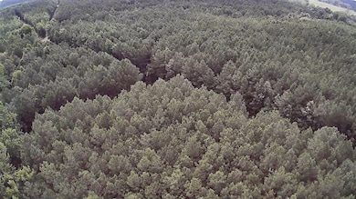 0 Moody Rd, Minden, LA 71055 - photo 6