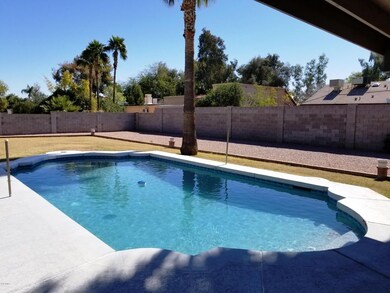 Favorite Play Pool