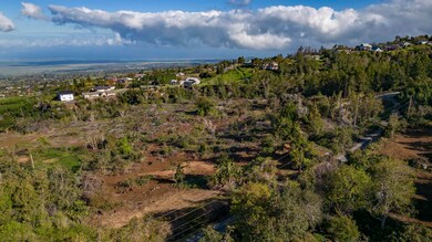 0 Haleakala Hwy unit B, Kula, HI 96790 - photo 7