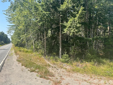 10 Bufford Dr, Waltham, ME 04605 - photo 4