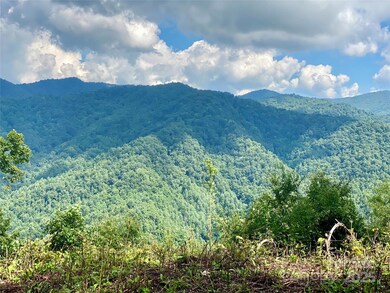 7858 Big Laurel Rd, Marshall, NC 28753 - photo 5