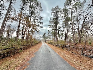 479 Altamaha Rd, Hazlehurst, GA 31539 - photo 3