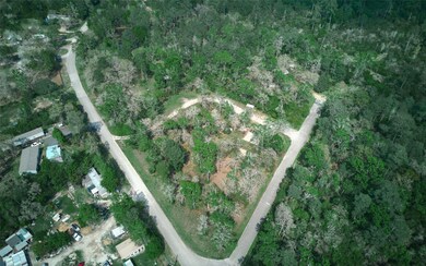 26910 Springwood Dr, Magnolia, TX 77354 - photo 2