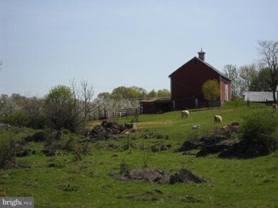 0 Buffalo Marsh Rd unit 1004780466, Middletown, VA 22645 - photo 3