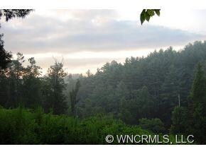 Lush green everywhere!