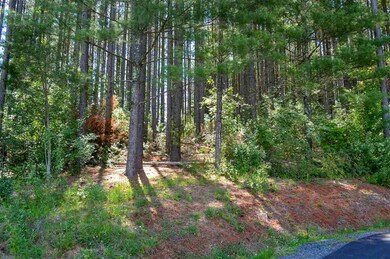 0 Guildford Farm Rd unit 604314, Ruckersville, VA 22968 - photo 2