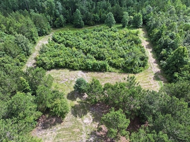 63 Hattie Winston Rd unit LotWP001, Lumberton, MS 39455 - photo 2