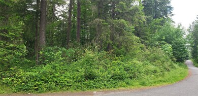 272 XX 96th Ave E, Graham, WA 98338 - photo 7