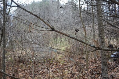 0000 Bradford Rd, Burnsville, NC 28714 - photo 3