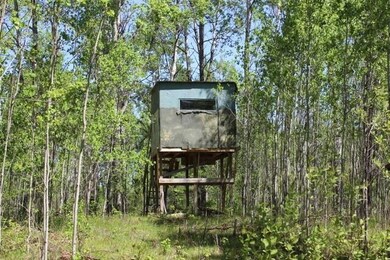 thumbnail_IMG_4988