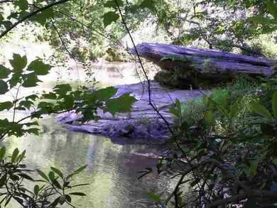 000 Big Pine Rd, Walhalla, SC 29691 - photo 6