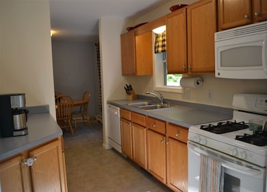 76 New Hampshire Dr, Webster, NH 03303 - photo 4