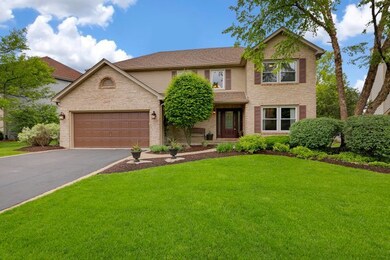 2428 Haider Ave unit 1, Naperville, IL 60564 - photo 2