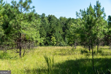 0 Plantation Rd, Warner Robins, GA 31093 - photo 3