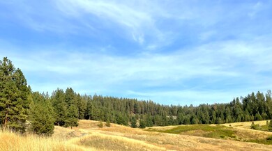 1617 U S 395, Chewelah, WA - photo 2