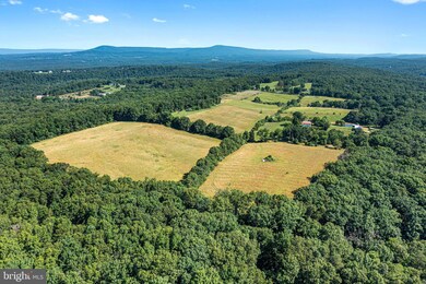 289 Glaize Orchard Rd, Winchester, VA 22603 - photo 4