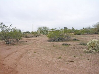 Lot N Neighbor