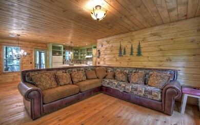 672 Pettit Rd, Ellijay, GA 30536 - photo 4