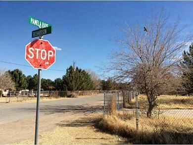 666 Richardson Rd, El Paso, TX 79927 - photo 4