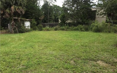 108 8th St SE, Steinhatchee, FL 32359 - photo 3