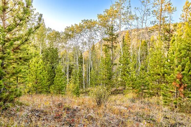 Lot 1 TBD Harris Rd, Anaconda, MT 59711 - photo 4