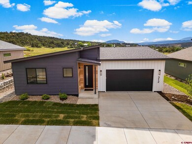 312 Singletrack Ln, Durango, CO 81303 - photo 4