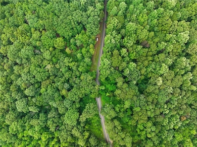 Aerial overview of property's location