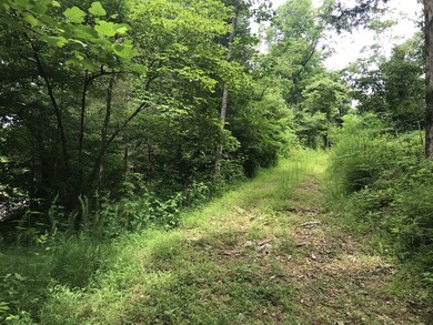 1299 Black Rd, Prospect, TN 38477 - photo 4