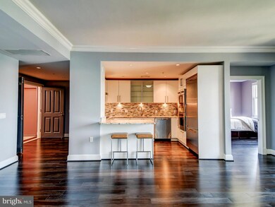 The Ritz-Carlton Residences, Baltimore, MD 21230 - photo 6