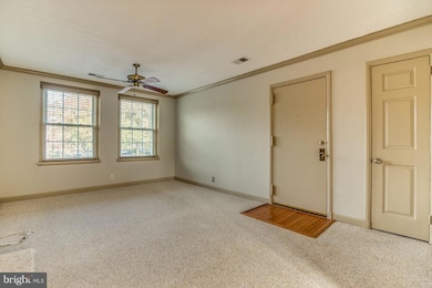 2932 S Buchanan St unit B2, Arlington, VA 22206 - photo 5