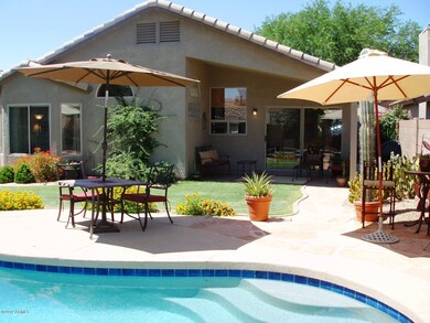 Backyard 2