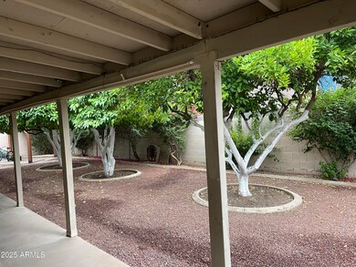 4329 W Bloomfield Rd, Glendale, AZ 85304 - photo 6