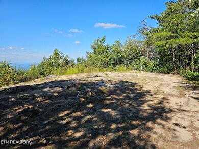 2820 Dupont Springs Rd, Sevierville, TN 37876 - photo 4