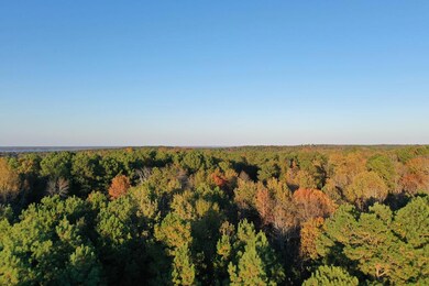 0 County Road 2117, Douglassville, TX 75560 - photo 7