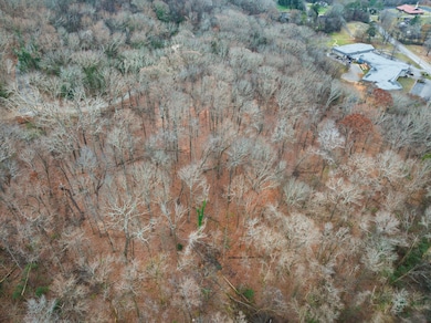 0 Hamill Rd unit RTC2969382, Chattanooga, TN 37343 - photo 5