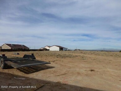 176 Road 3950, Farmington, NM 87401 - photo 6