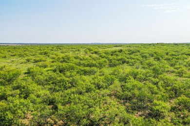 262.71 Acres unit FM 1191, Jermyn, TX 76459 - photo 6