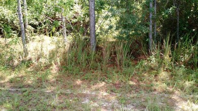 IMG_20160816_144415436[1]