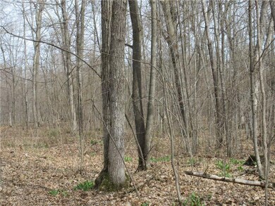 0 Z Rd unit 1530203, Chetek, WI 54728 - photo 4