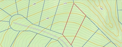 3 Basore Ln, Bella Vista, AR 72715 - photo 3