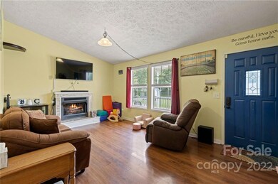 16 Sydney Ln, Asheville, NC 28806 - photo 5