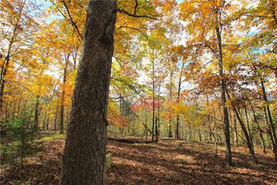 0 Mc 5430 unit 1166377, Crosses, AR 72727 - photo 7