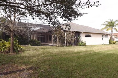 East & Rear Views