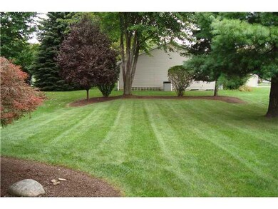 Yard/Garden
