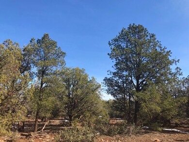 41 Bullock Rd, Ash Fork, AZ 86320 - photo 4